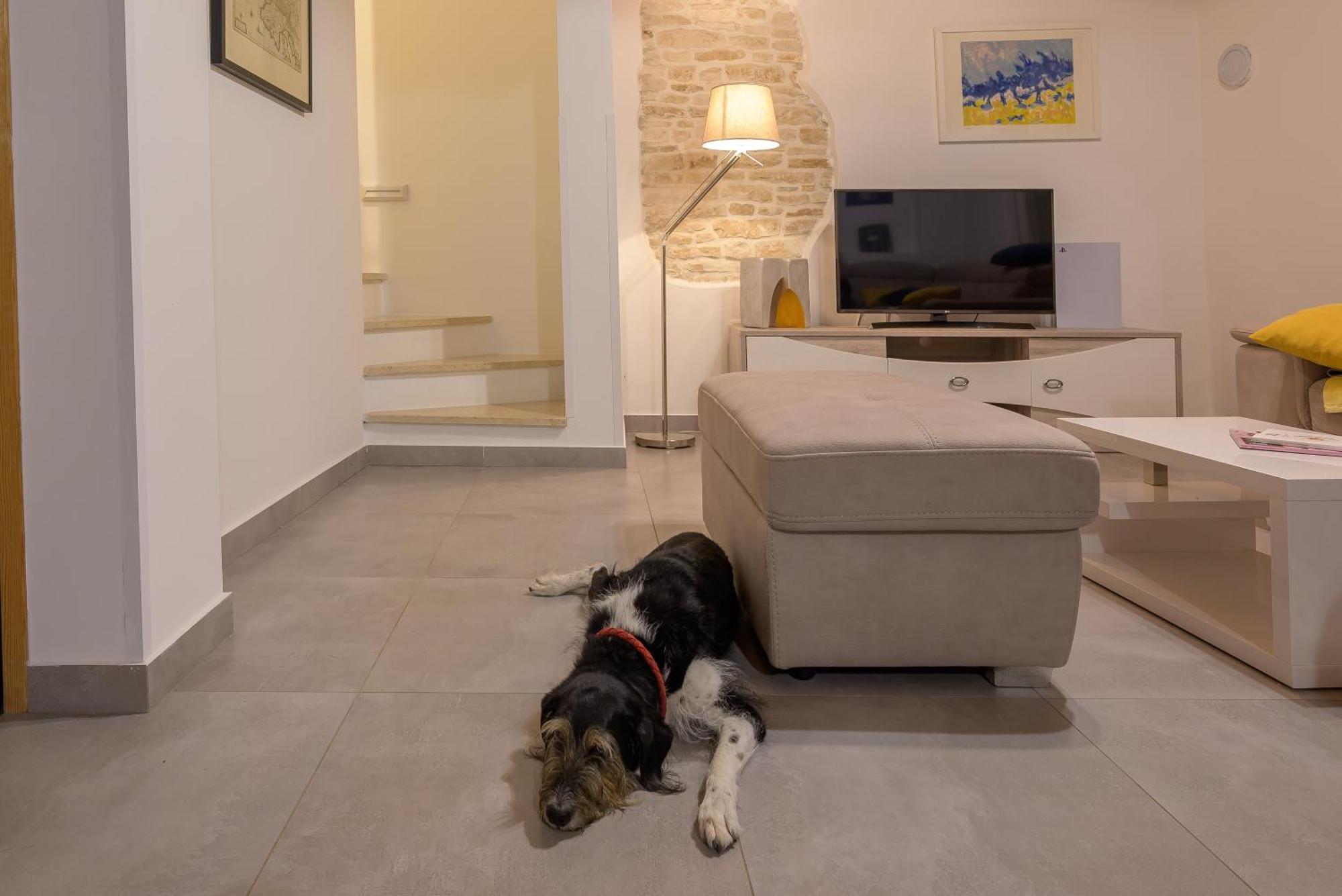 Villa Azinetti Štokovci エクステリア 写真